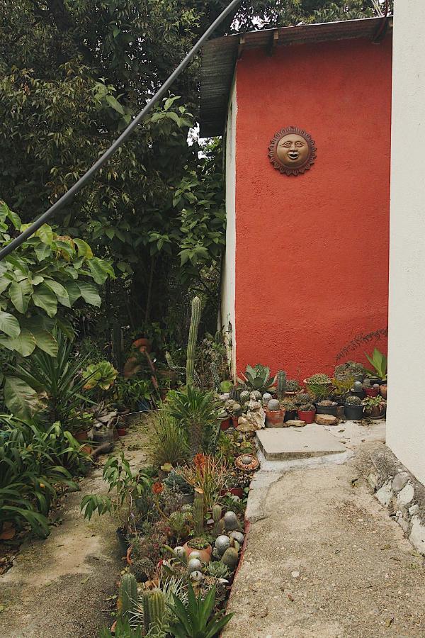 Cabana Campestre En Oaxaca Luaran gambar